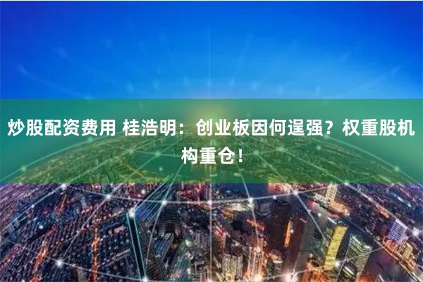 炒股配资费用 桂浩明：创业板因何逞强？权重股机构重仓！