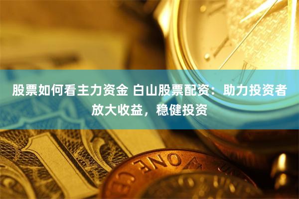 股票如何看主力资金 白山股票配资：助力投资者放大收益，稳健投资
