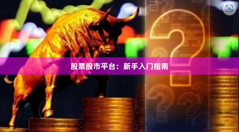 股票股市平台：新手入门指南