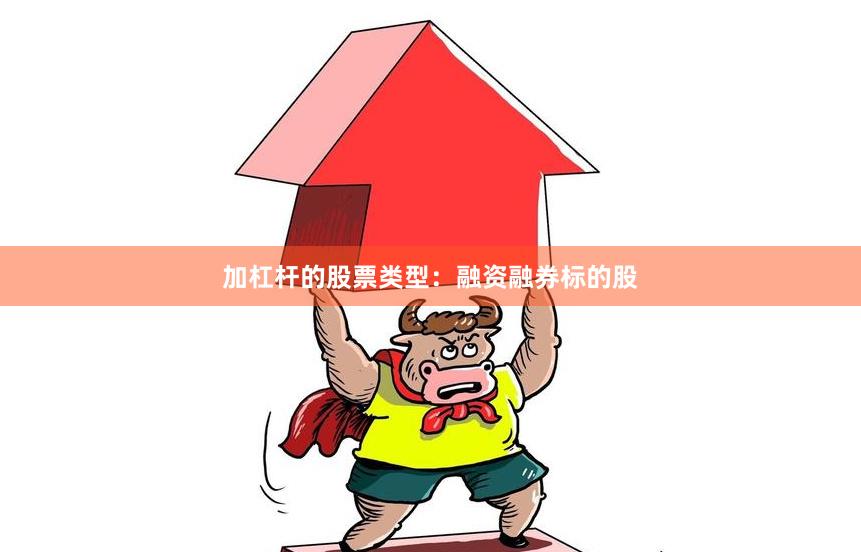 加杠杆的股票类型：融资融券标的股